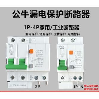 公牛2p空气开关带漏电保护器总开关断路器家用220v热水器63a空开 2p